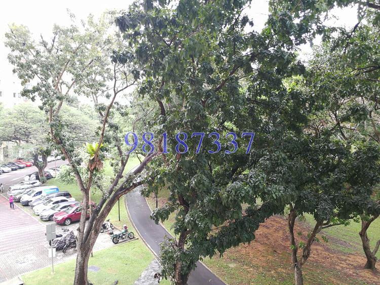 Blk 459 Ang Mo Kio Avenue 10 (Ang Mo Kio), HDB 5 Rooms #138994802